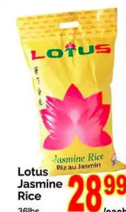 T&T Supermarket Lotus Jasmine Rice 36lbs offer