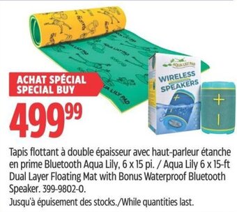 Canadian Tire Aqua Lily 6 x 15-ft Dual Layer Floating Mat with Bonus Waterproof Bluetooth Speaker. offer