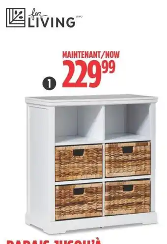 Canadian Tire 4-Drawer and 2-Shelf Storage Cabinet. offer