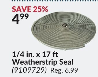 Princess Auto 1/4 in. x 17 ft weatherstrip seal offer