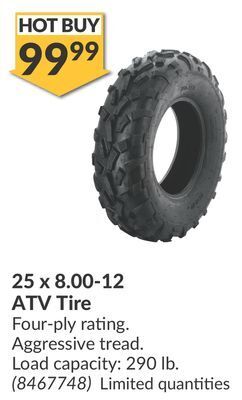 Princess Auto 25 x 8.00-12 atv tire offer