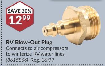 Princess Auto Rv blow-out plug offer