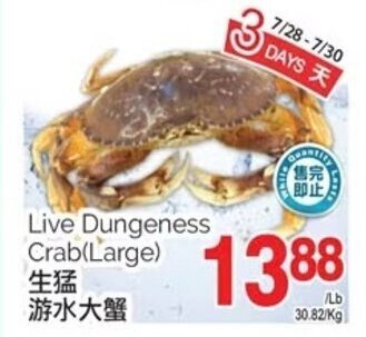 T&T Supermarket Live Dungeness Crab(Large) offer