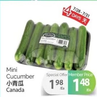 T&T Supermarket Mini Cucumber Canada offer