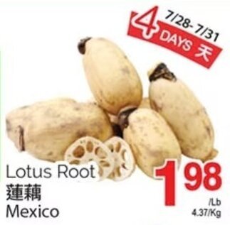 T&T Supermarket Lotus Root Mexico offer
