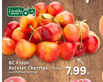 IGA BC Fresh Rainier Cherries offer