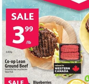 Co-op Co-op Lean Ground Beef offer