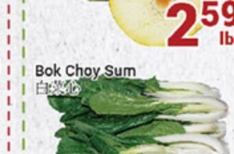 Oceans Fresh Food Market Bok choy sum offer