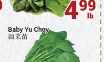 Oceans Fresh Food Market Baby yu choy offer