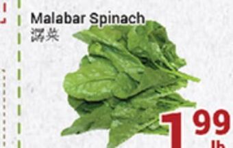 Oceans Fresh Food Market Malabar spinach offer
