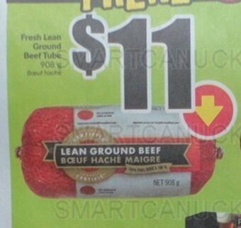 FreshCo Fresh Lean Ground Beef Tube 908 g offer