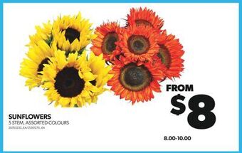 Real Canadian Superstore Sunflowers, 5 stem offer