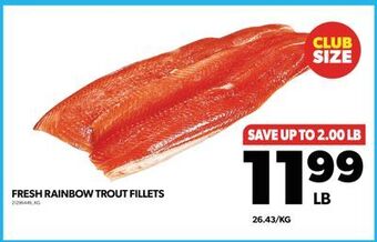 Real Canadian Superstore Fresh rainbow trout fillets offer