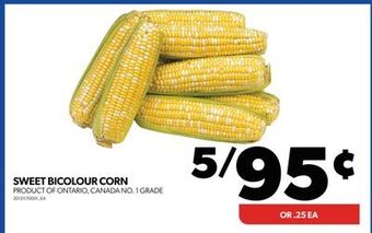 Real Canadian Superstore Sweet bicolour corn offer