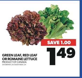 Real Canadian Superstore Green leaf, red leaf or romaine lettuce offer