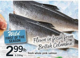 Fortinos Fresh whole pink salmon offer