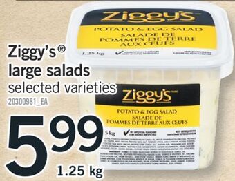 Fortinos Ziggy's® large salads offer