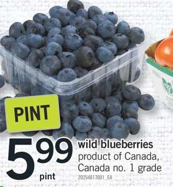 Fortinos Wild blueberries offer