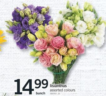Fortinos Lisianthus offer