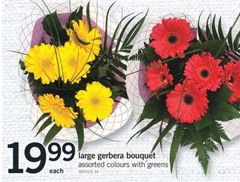 Fortinos Large gerbera bouquet offer