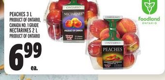 Metro Peaches offer