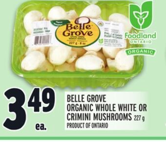Metro Belle grove organic whole white or crimini mushrooms offer