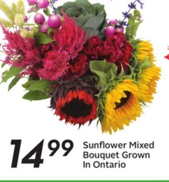Sobeys Sunflower mixed bouquet grown in ontario offer