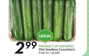 Sobeys Mini seedless cucumbers offer