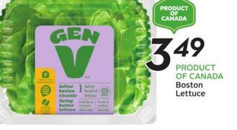 Sobeys Boston lettuce offer