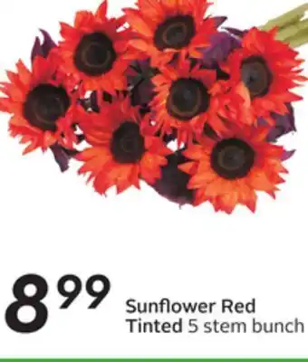 Sobeys Sunflower red tinted offer
