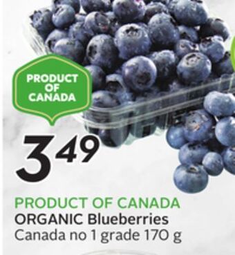Sobeys Organic blueberries offer