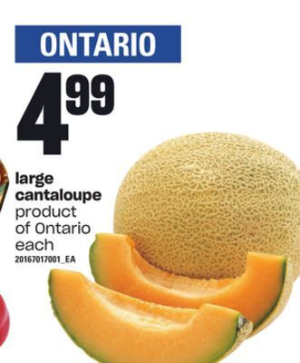 Loblaws Large cantaloupe offer
