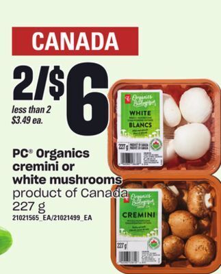 Loblaws Pc® organics cremini or white mushrooms, 227 g offer