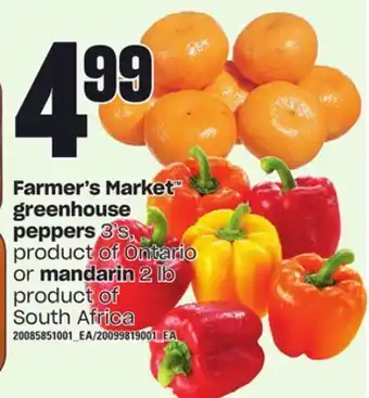 Independent Grocer Farmer's market™ greenhouse peppers, 3's or mandarin, 2 lb offer