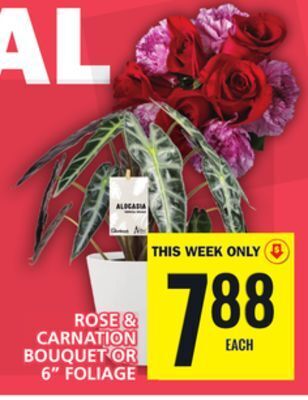 Food Basics Rose & carnation bouquet or 6 foliage offer