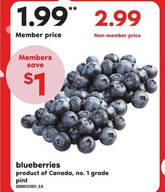 Independent Grocer Blueberries, pint offer