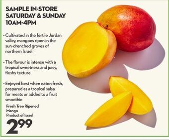 Longo's Fresh tree ripened mango offer