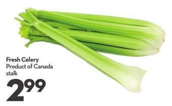 Longo's Fresh celery offer