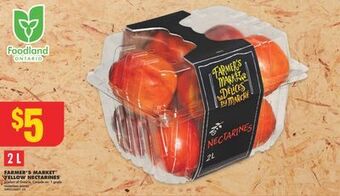 No Frills Farmer's market™ yellow nectarines, 2 l offer