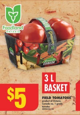 No Frills Field tomatoes, 3 l basket offer