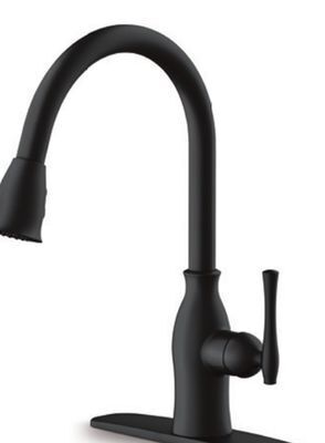 Canadian Tire Danze lisa pull-down kitchen faucets offer