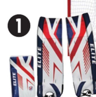 Canadian Tire Elite selected street hockey protective and goals and replacement nets offer