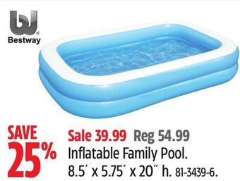 Canadian Tire Bestway inflatable family pool offer