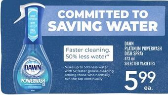 Metro Dawn platinum powerwash dish spray offer