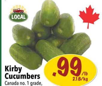 Farm Boy Kirby cucumbers offer