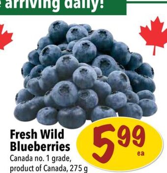 Farm Boy Fresh wild blueberries offer