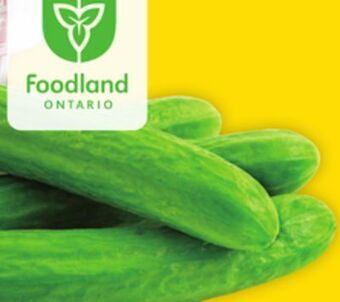 Giant Tiger 340 g mini cucumbers offer