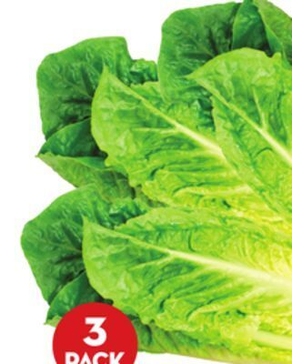 Giant Tiger 3 pack romaine hearts offer