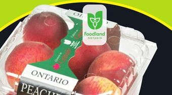 FreshCo Ontario peaches 3 l offer