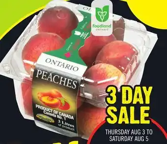 Chalo FreshCo Ontario peaches 3 l offer
